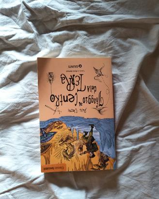 Libro Viaggio al centro della terra