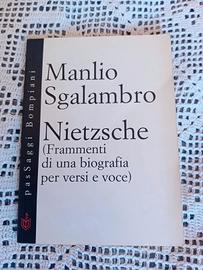 Sgalambro - Nietzsche. Frammenti di una biografia