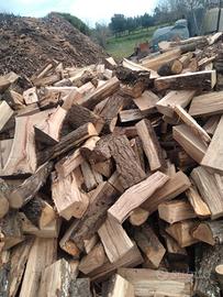 legna da ardere (QUERCIA)