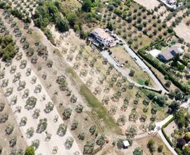 TER. AGRICOLO A CIVITELLA SAN PAOLO