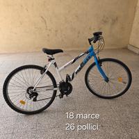 bicicletta 