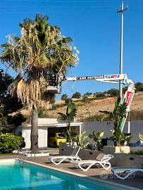 Piattaforma cingolata Cela DT21