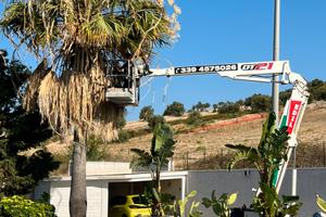 Piattaforma cingolata Cela DT21