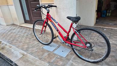 mountain bike per donna