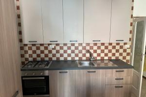 Bilocale ( più accessori) ammobiliato