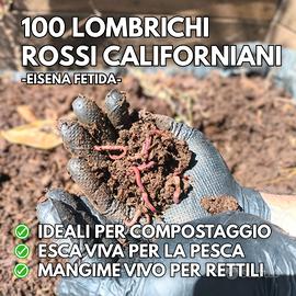 Lombrico rosso Californiano