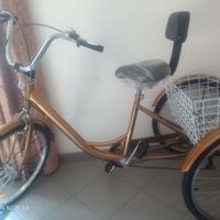 Bicicletta adulto