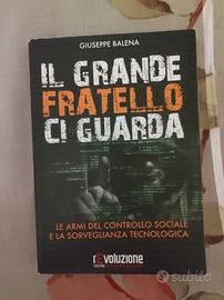 Il grande fratello ci guarda. le armi... - 2017