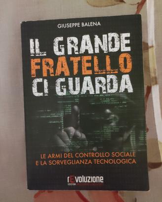Il grande fratello ci guarda. le armi... - 2017