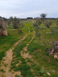 Terreno Gallipoli