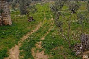 Terreno Gallipoli