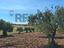 Immagine 10