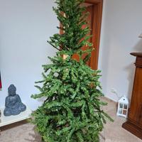 albero di natale