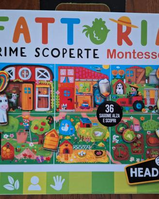 Fattoria prime scoperte Montessori Headu