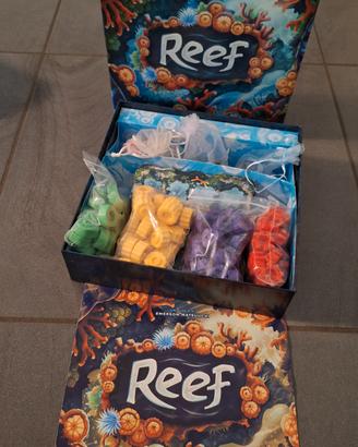 gioco in scatola REEF