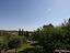 Immagine 17