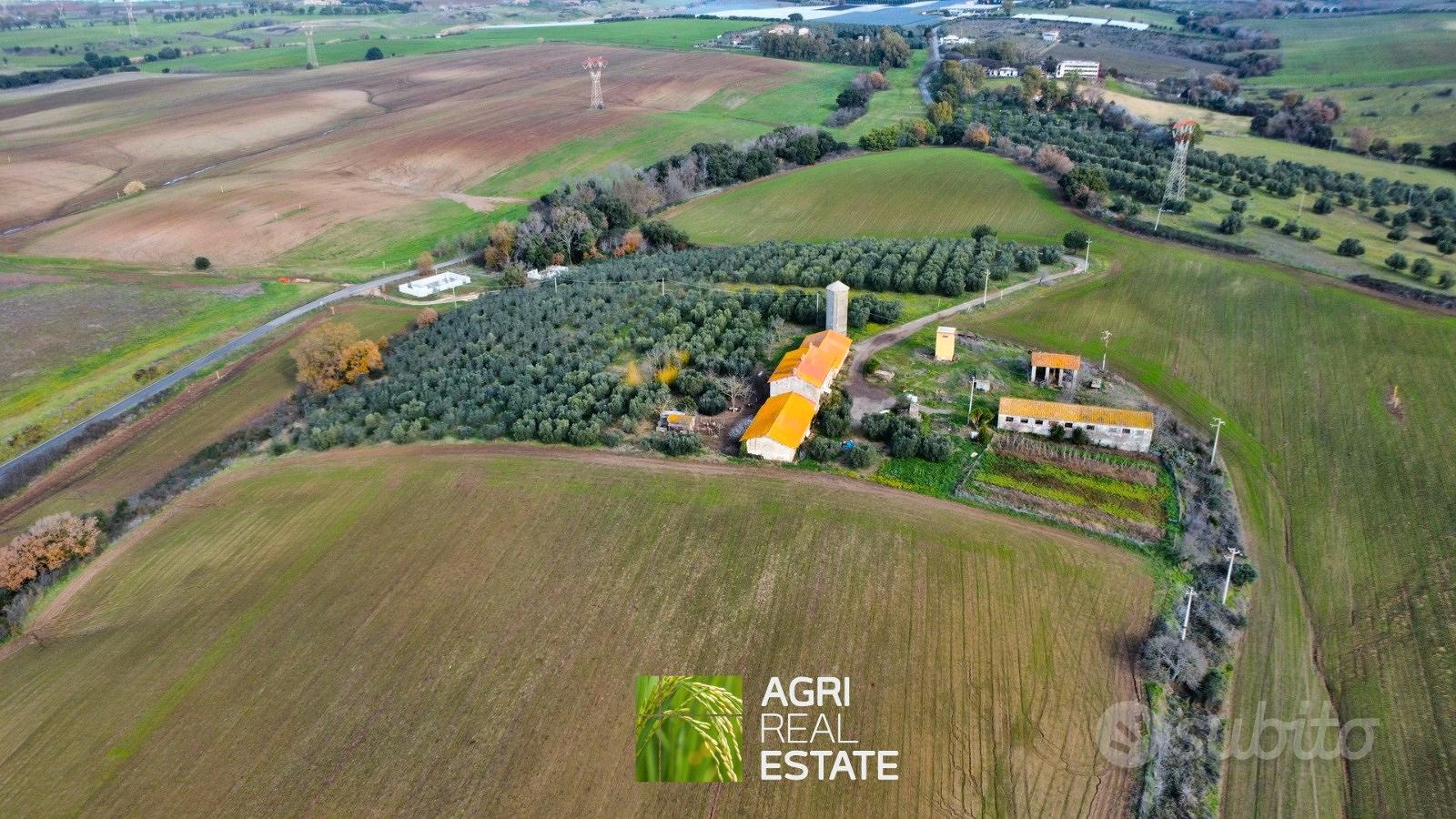Terreno agricolo di 48 HA con casale e fabbricati - Vista 4