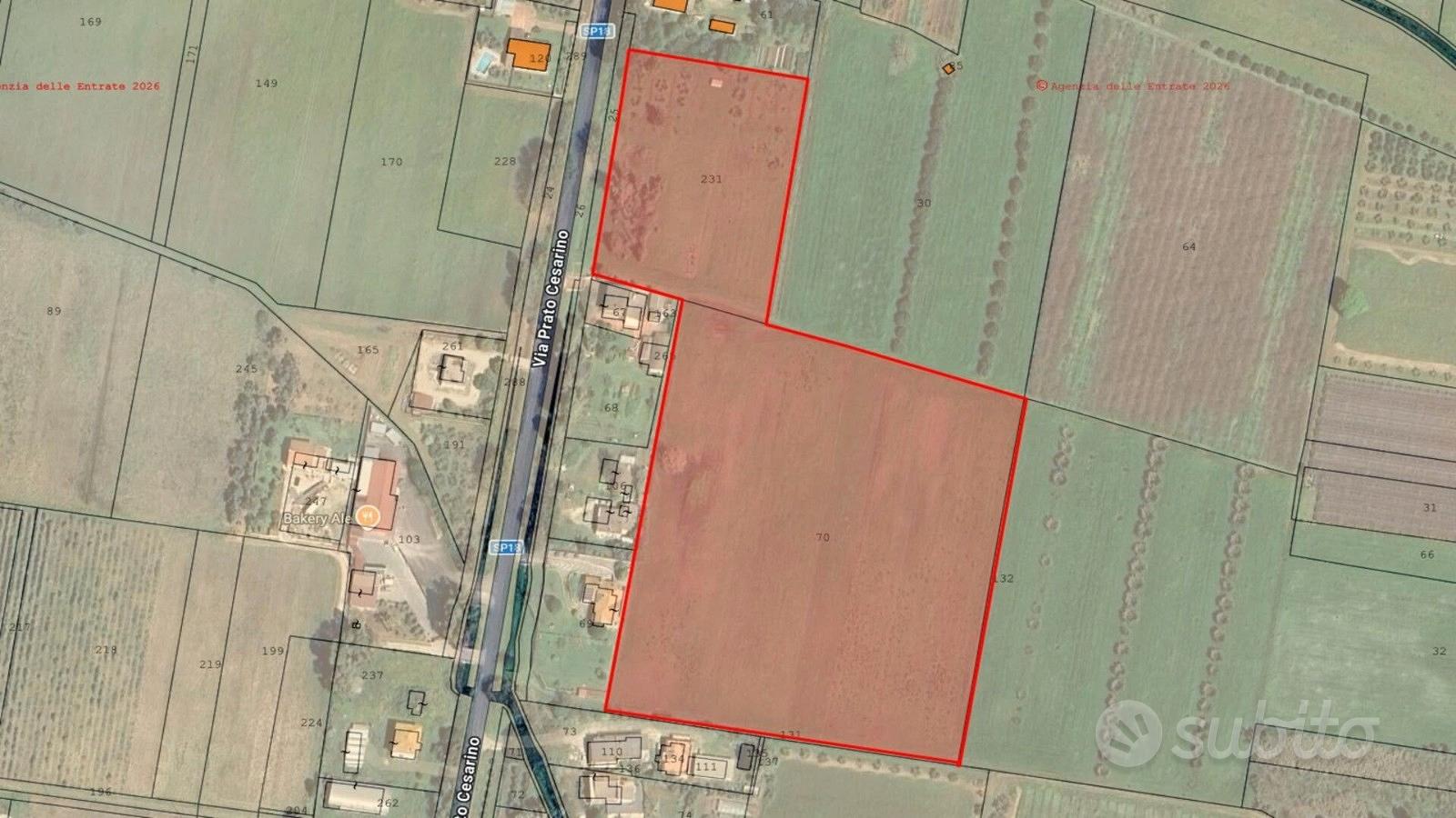 Terreno agricolo 3,5 HA ca. fronte strada | TR344 - Vista 4