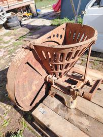 affetta barbabietole