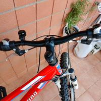 bicicletta taglia 24