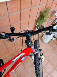 bicicletta taglia 24