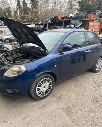 Ricambi per LANCIA YPSILON 2010 COD MOT: 350A1000