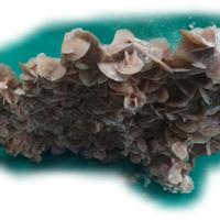 ROSA DEL DESERTO o ROSA DI SABBIA  (2)