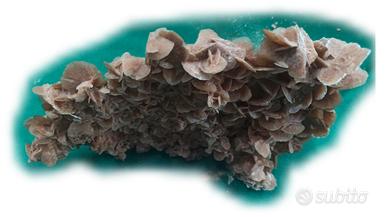 ROSA DEL DESERTO o ROSA DI SABBIA  (2)