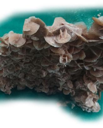 ROSA DEL DESERTO o ROSA DI SABBIA  (2)