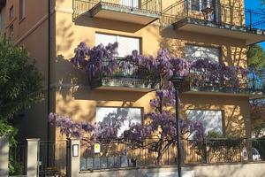 Rimini zona Strategica trilocale ristrutturato