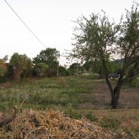 Tortolì terreno mq 3000 x agricoltura, attivi. var