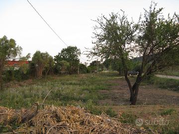 Tortolì terreno mq 3000 x agricoltura, attivi. var