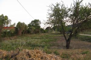 Tortolì terreno mq 3000 x agricoltura, attivi. var