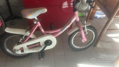 Bicicletta