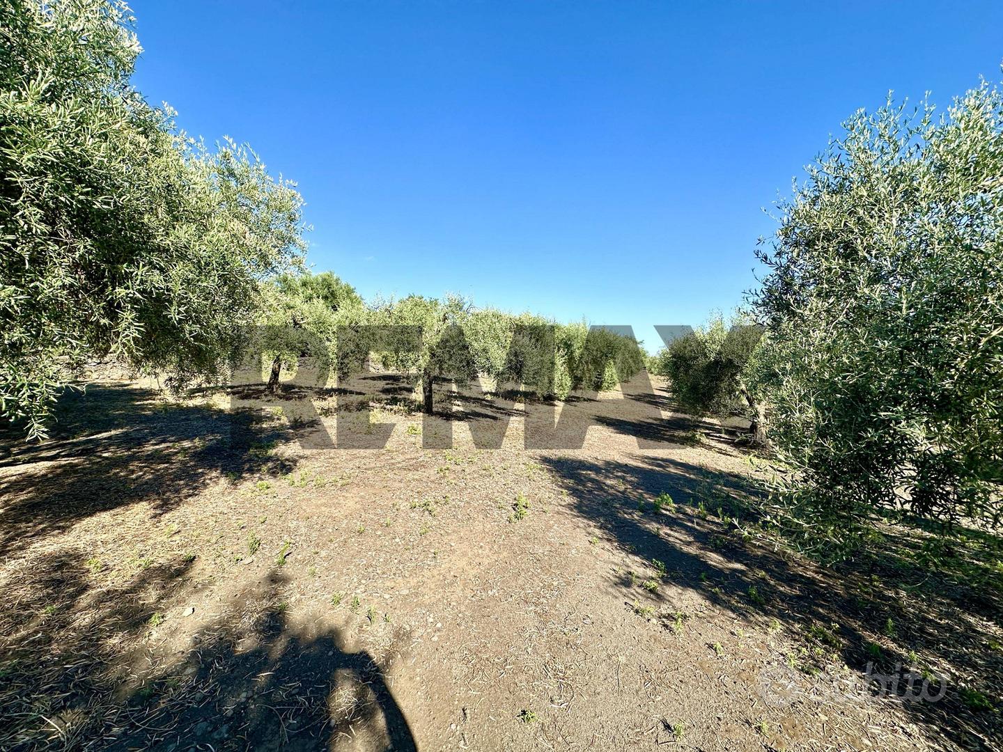 Terreno - Biancavilla - Vista 3