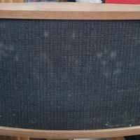 BOSE DIFFUSORI 901 SERIE V