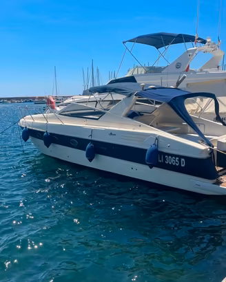 Ilver Matisse 37