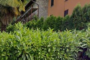 Immobile in asta di 249 m² con 4 locali a Cocquio-