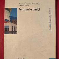 Zanichelli – Funzioni e limiti (Modulo U) – Bergam