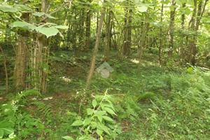 TERRENO A MONTANO LUCINO