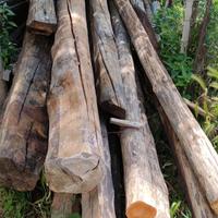 Travi in legno di Larice