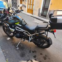 Triumph Tiger rally pro 