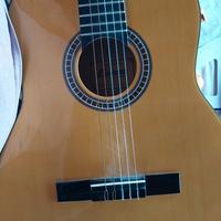 Chitarra per principianti 