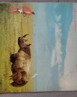 Adrian Belew - Lone Rhino