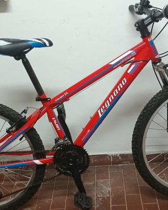 bicicletta