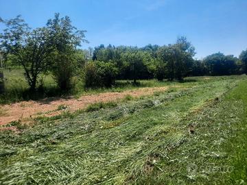 Terreno agricolo a Romano d'Ezzelino