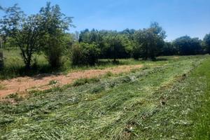 Terreno agricolo a Romano d'Ezzelino