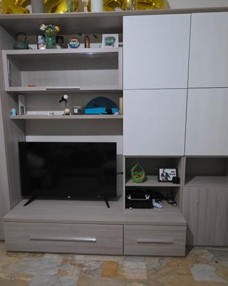 mobile tv/salotto
