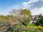 Immagine 25