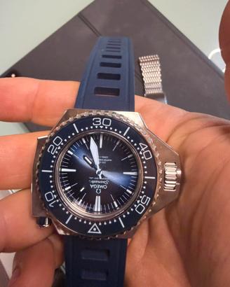 omega ploprof summer blu’